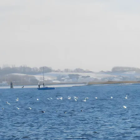 Taun Hoevt Апартаменты Gross Zicker