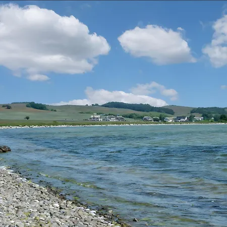 Taun Hoevt Gross Zicker