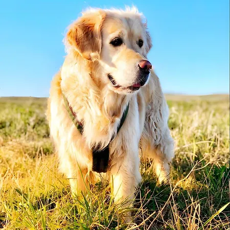 Taun Hoevt Апартаменты *