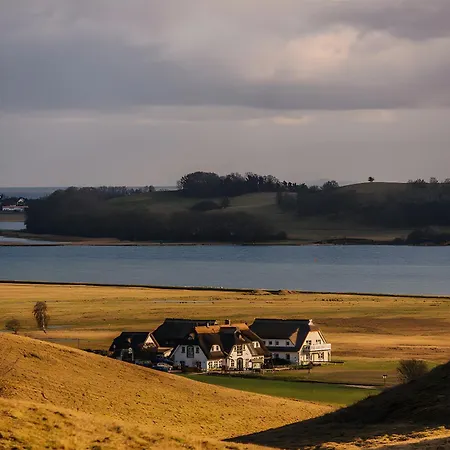 Taun Hoevt * Gross Zicker